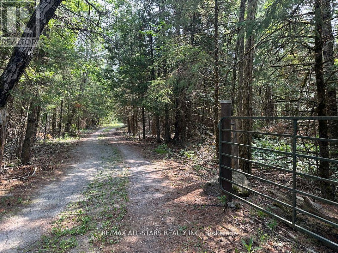 380 LEDGE ROAD, Trent Lakes
