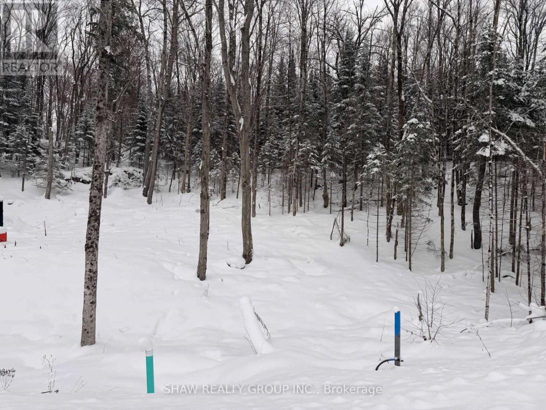 LOT 23 GLEN EAGLE COURT, Huntsville (Chaffey)