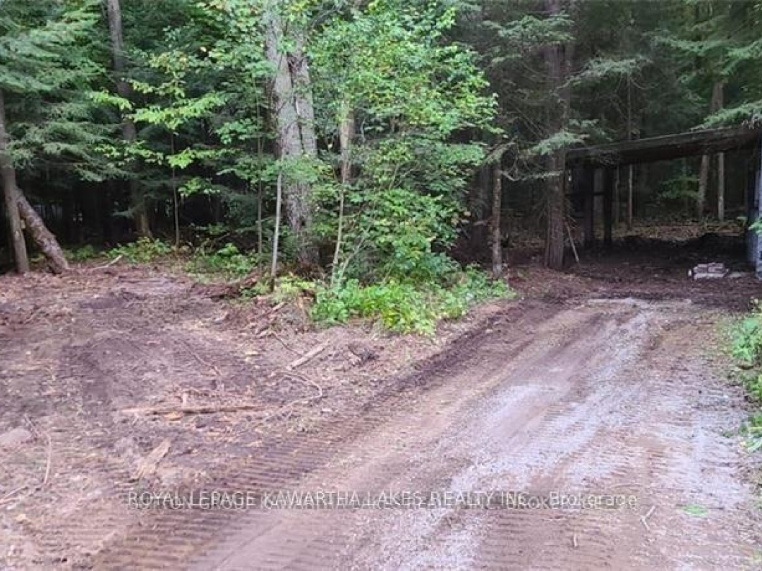 7545 HIGHWAY 35, Kawartha Lakes (Laxton/Digby/Longford)