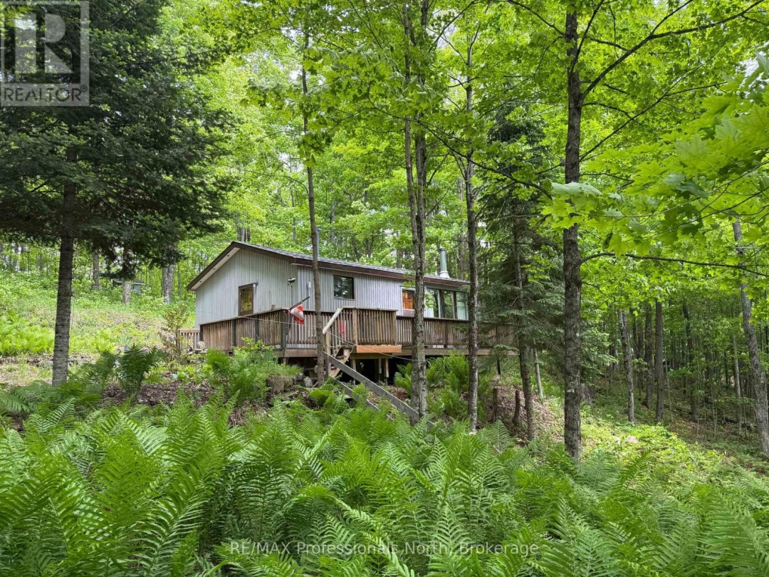 1025 MANITOU ROAD, Little Dudmon Lake