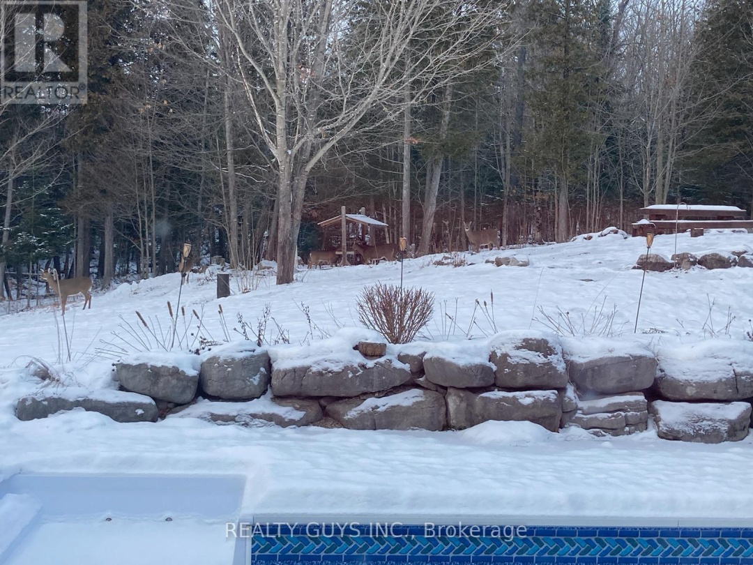 891 COUNTY ROAD, Trent Lakes