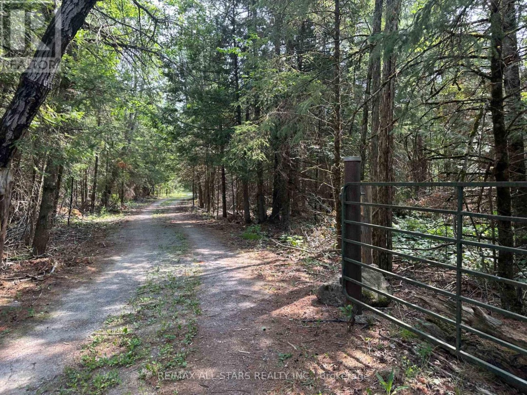 380 LEDGE ROAD, 
