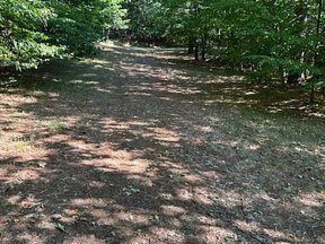 2875 COUNTY ROAD 21 ROAD, Minden Hills (Minden)