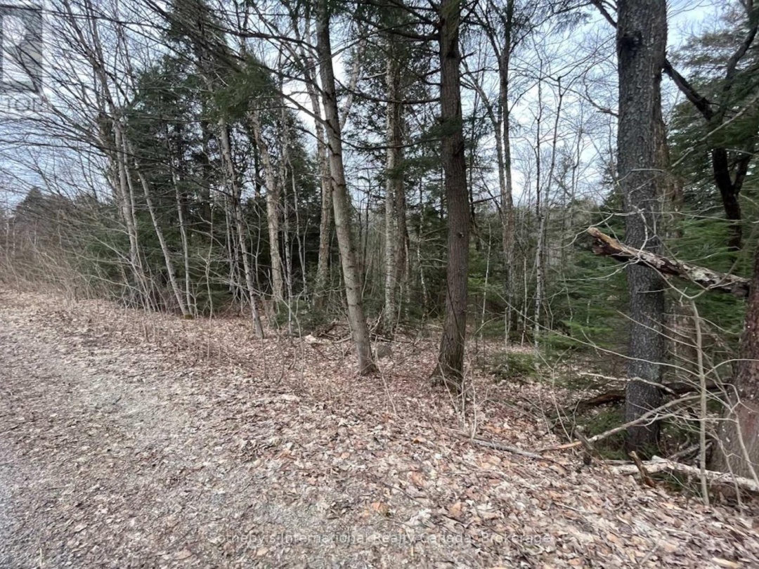 1031 HAVEN ROAD, Bracebridge (Draper)