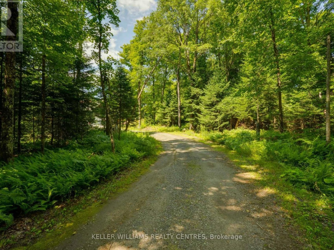 96 LINDGREN ROAD E, 
