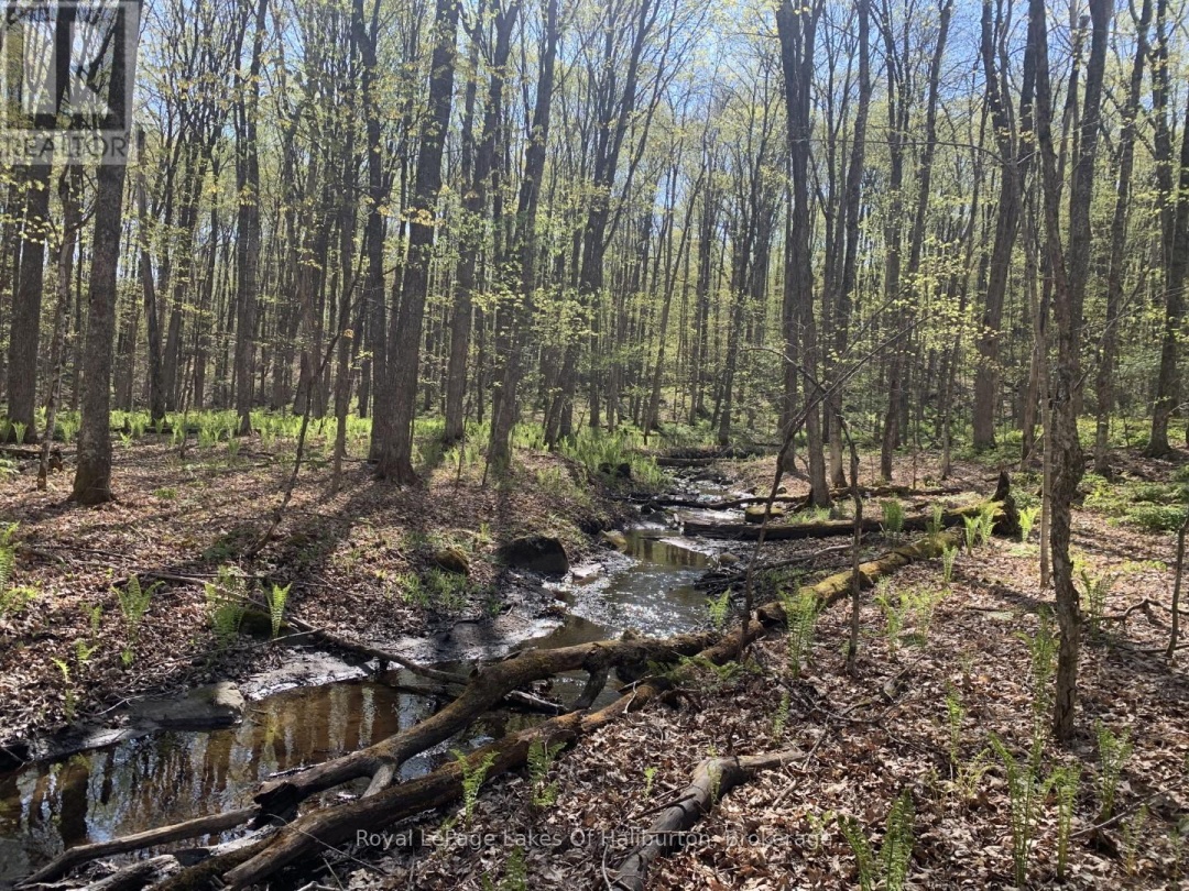 0 KASHAGAWIGAMOG LAKE ROAD, 