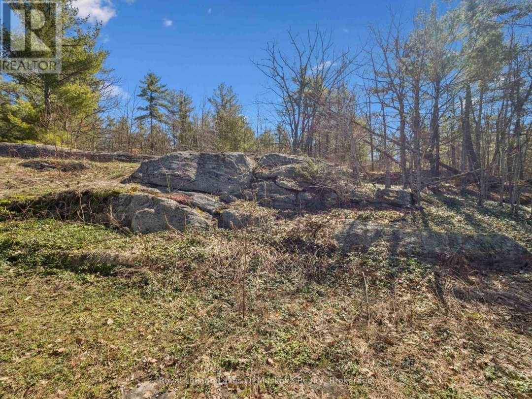 1314 WINHARA ROAD, Gravenhurst (Muskoka (S))