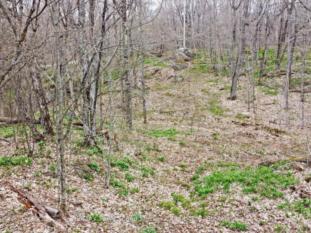 LOT 1 SHIELDS DRIVE, Horseshoe Lake