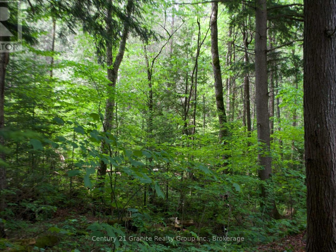 LOT 10 LOON LAKE ROAD S, Loon Lake