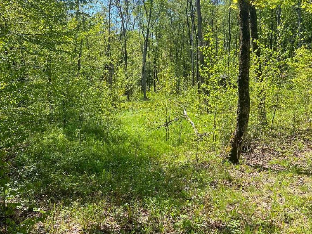 0 TRAPPER'S TRAIL ROAD, 