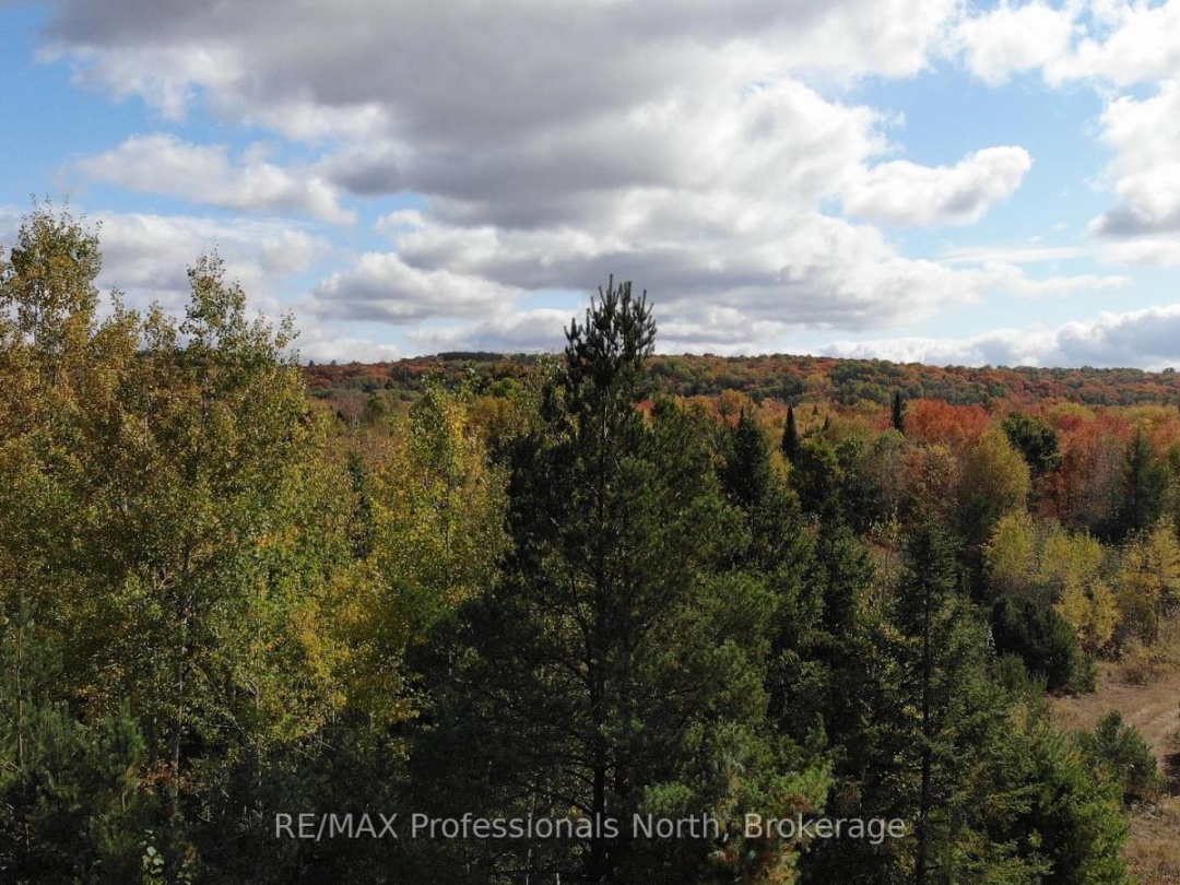 10916 HIGHWAY 503 HIGHWAY, Highlands East (Glamorgan)