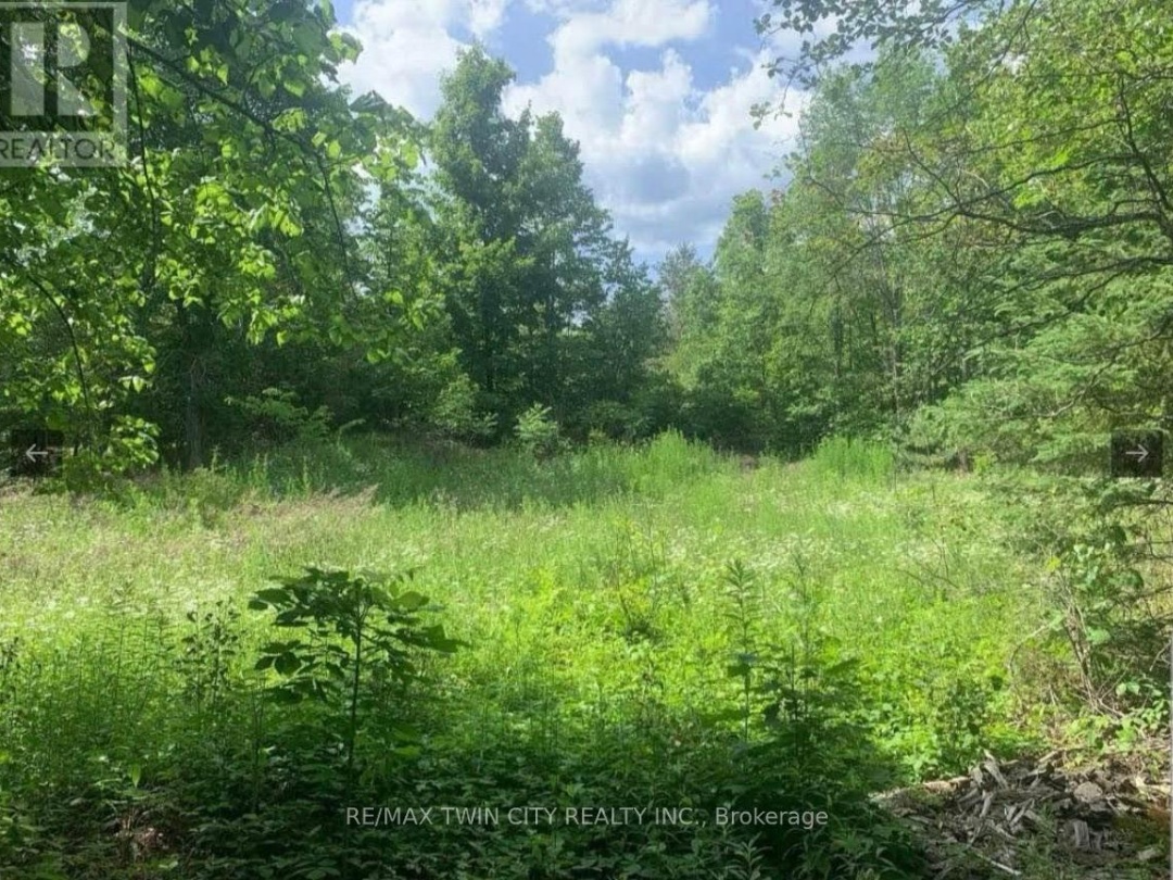 LOT 12 SUTER DRIVE, Kawartha Lakes (Laxton/Digby/Longford)