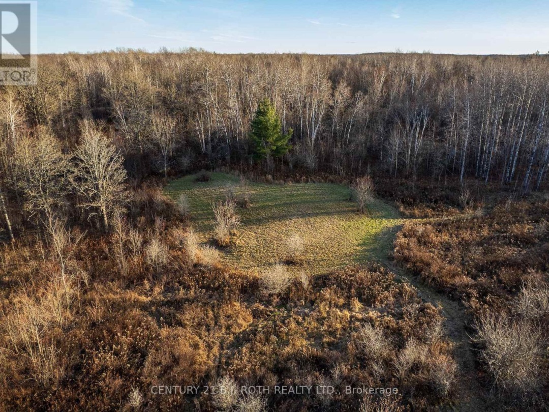 1007 MOUNT STEPHEN ROAD NE, North River