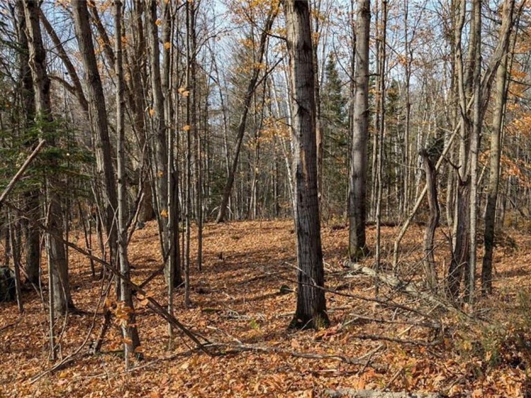 Lot 2 Tally Ho Winter Park Road, Lake Of Bays