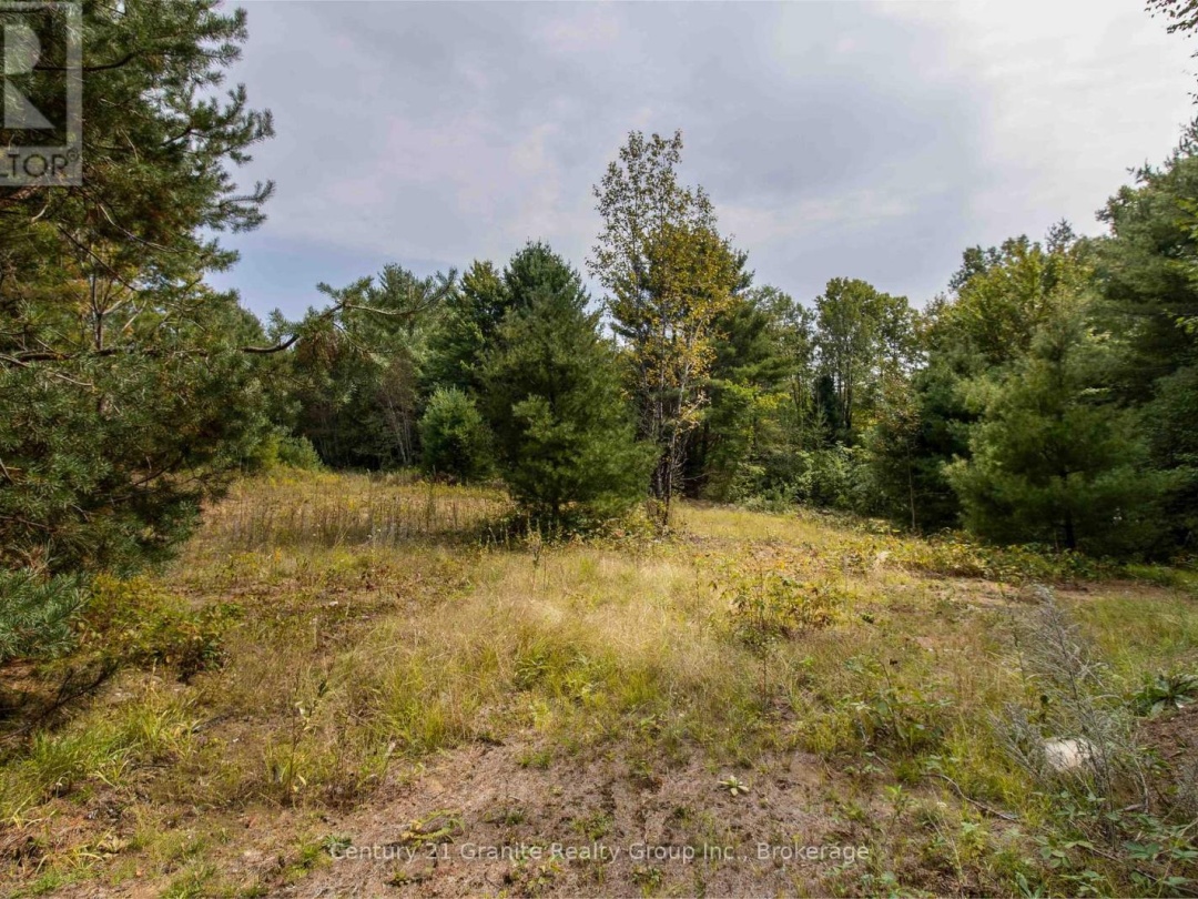 4729 COUNTY ROAD 121, Minden Hills (Lutterworth)