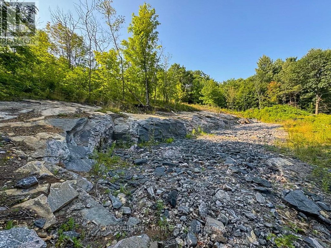 1681 MUSKOKA BEACH ROAD, 