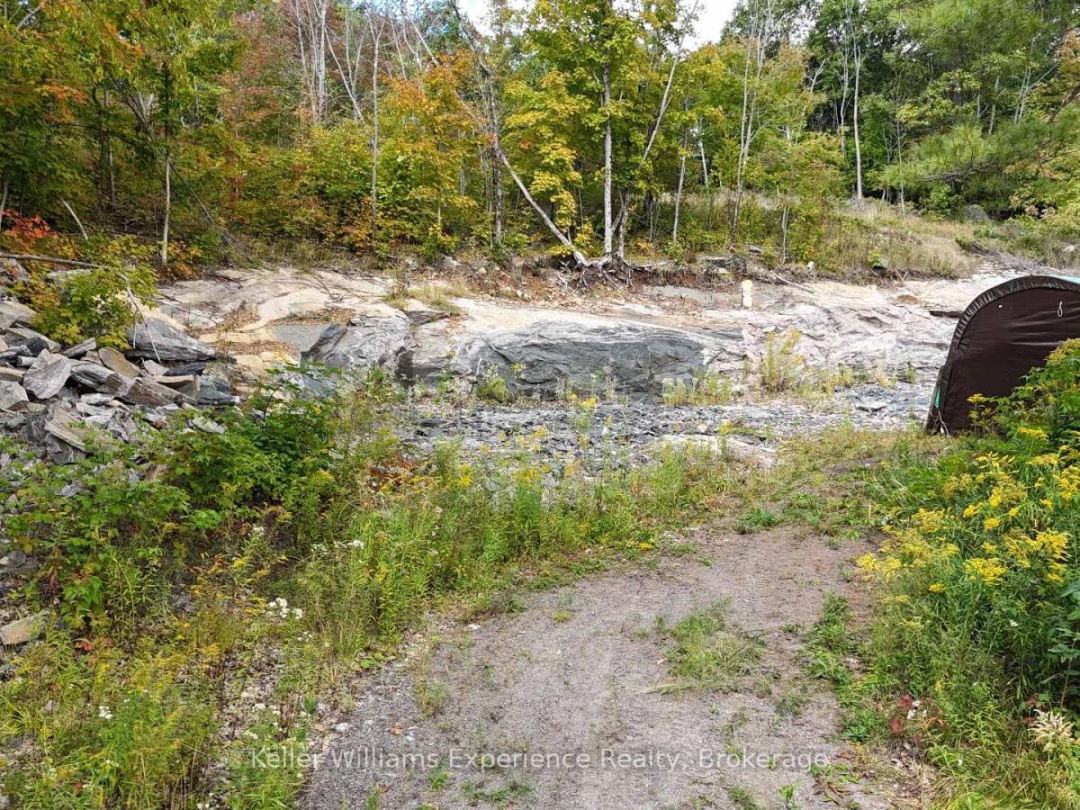 1681 MUSKOKA BEACH ROAD, 
