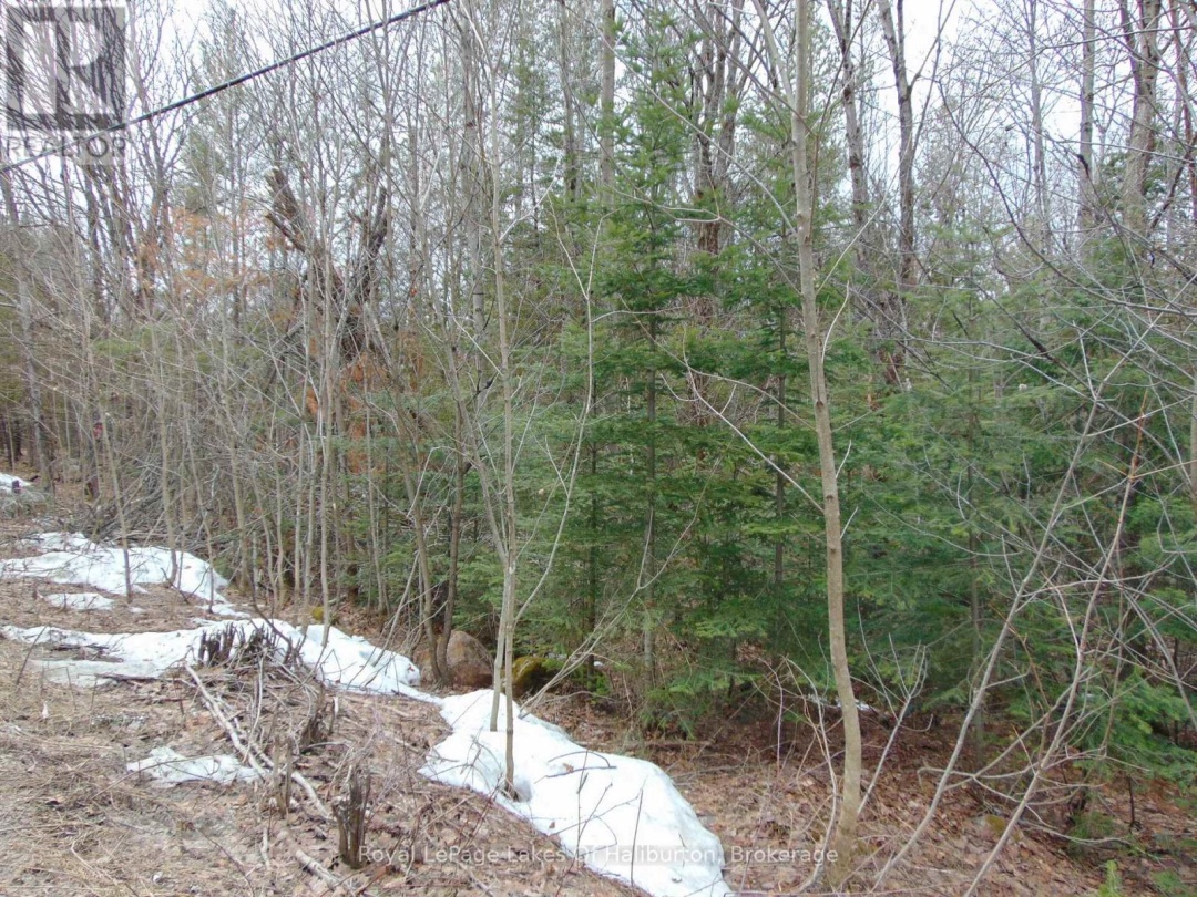LOT 11 PLAN 580 NORTH DRIVE, Dysart et al (Guilford)