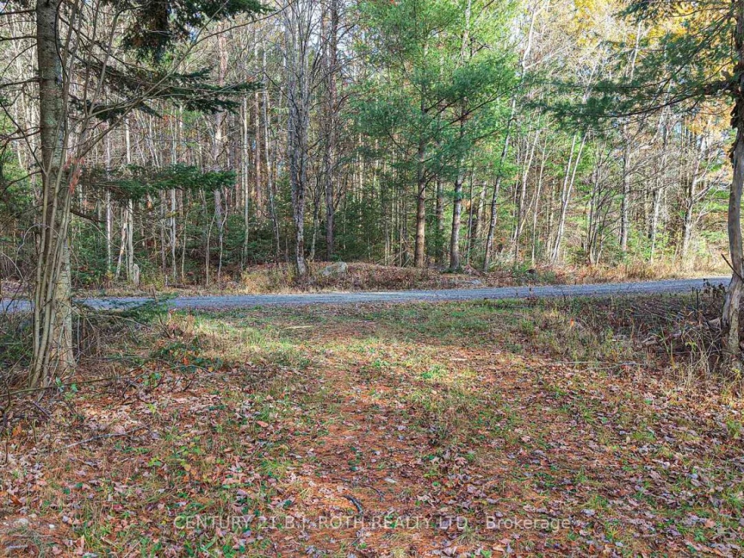 1036 HOPKINS ROAD, Gravenhurst (Ryde)