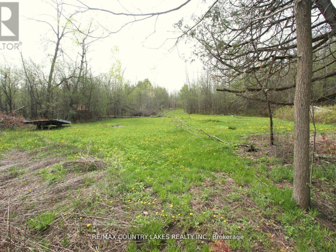 B40440 SHORE ROAD, Lake Simcoe