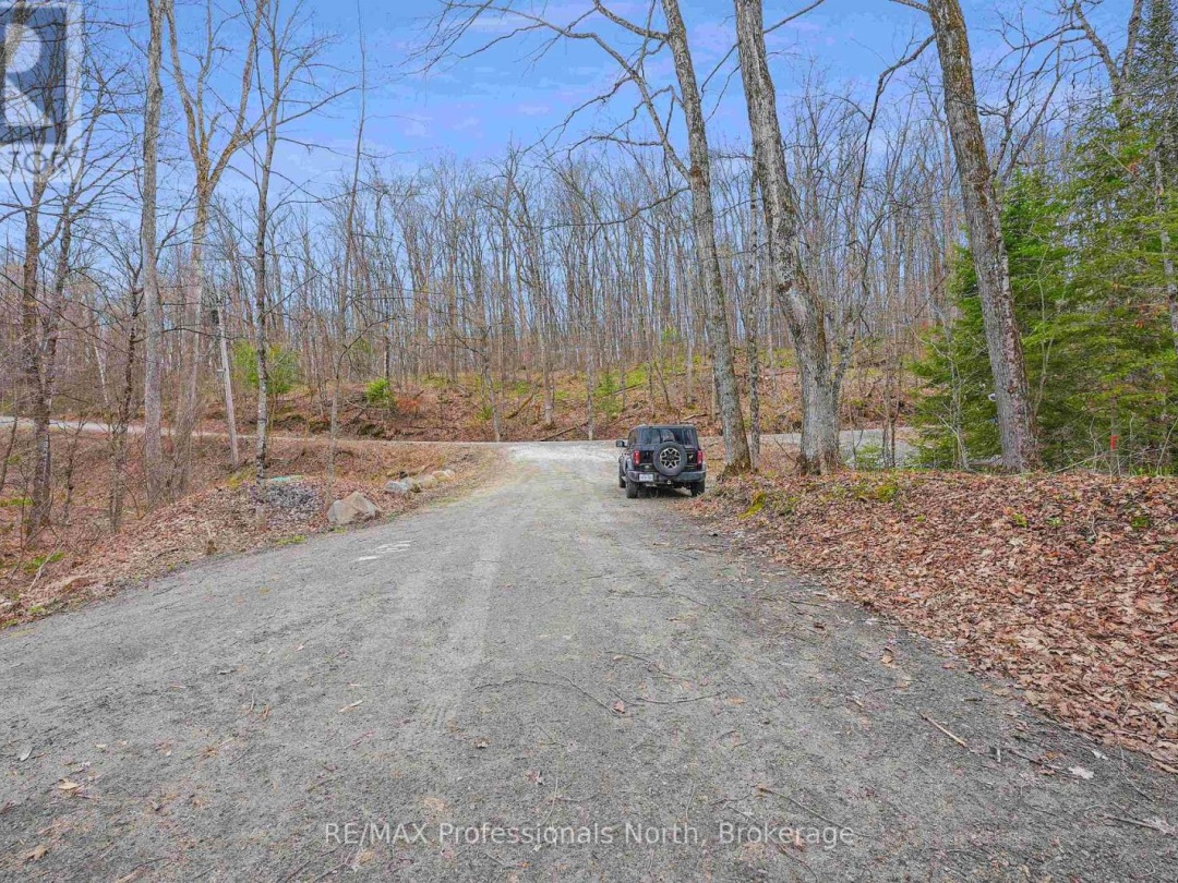 1110 MISKWABI LAKE ROAD, Miskwabi Lake