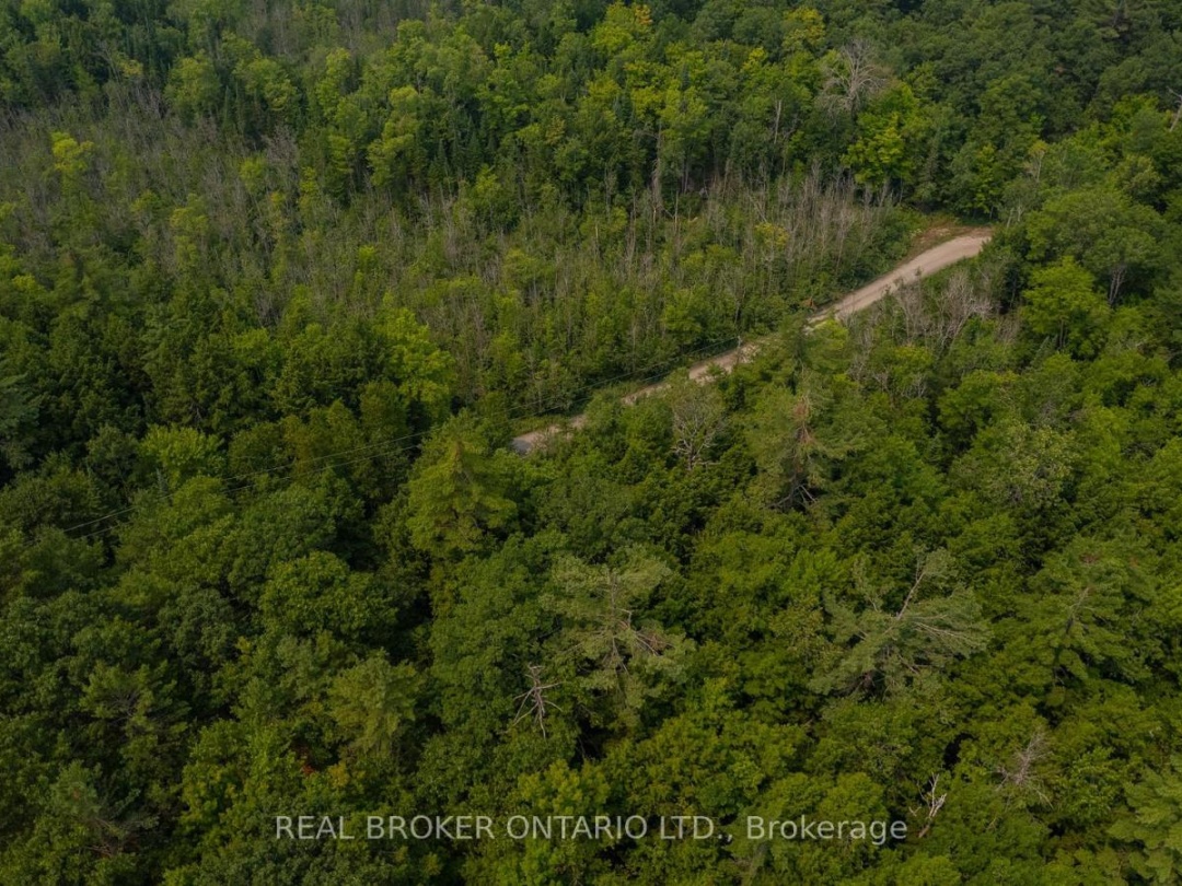 LOT 13 4 WHEEL DRIVE, Severn River