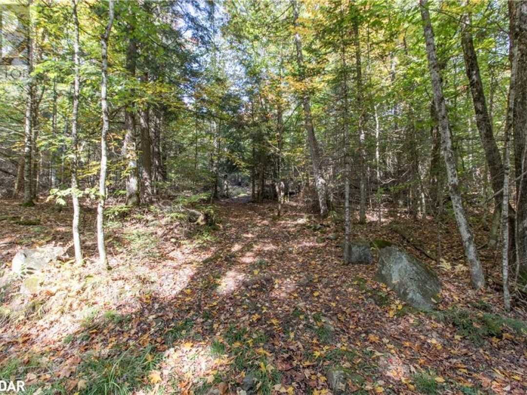 0 LYNX LAKE Road, 