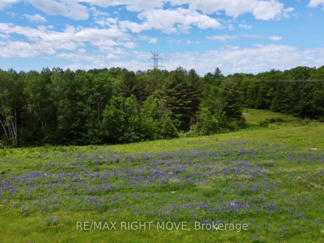 3146 WASDELL FALLS ROAD, 