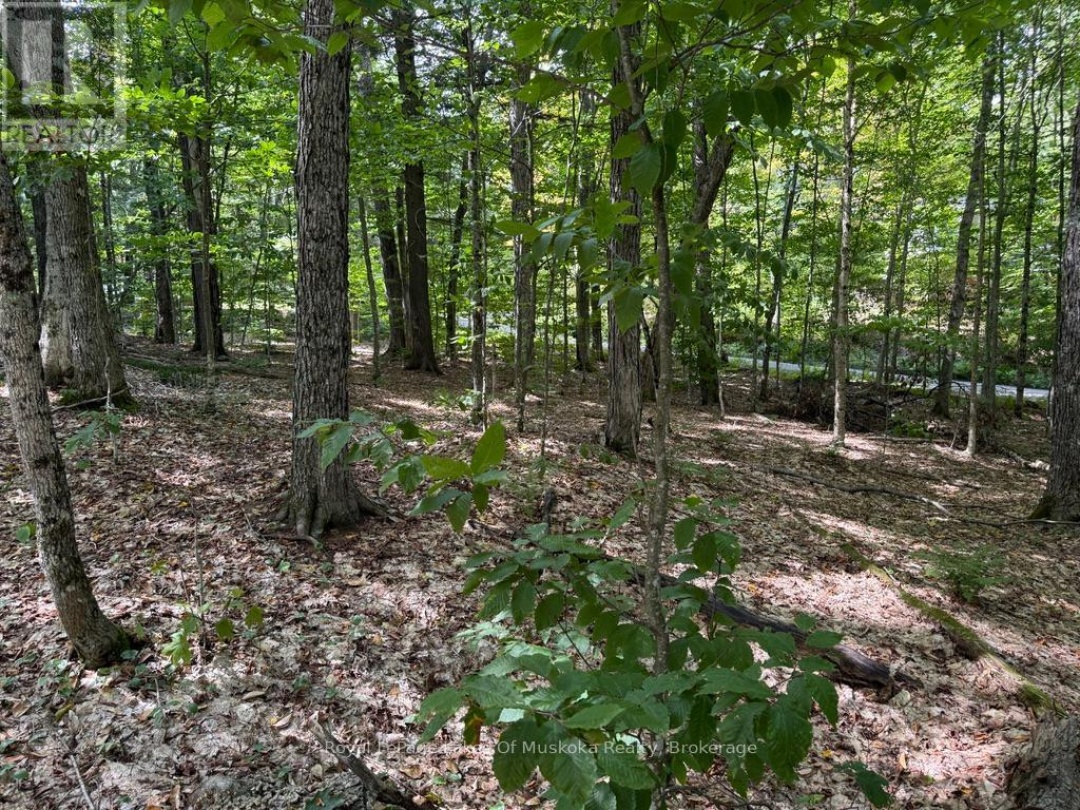 LOT 85 BRENNAN CIRCLE, Lake Vernon