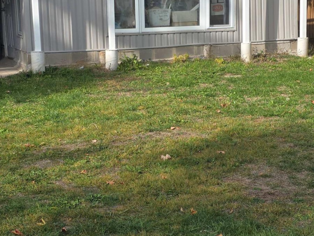 183 MCGUIRE BEACH ROAD, Trent-Severn Waterway