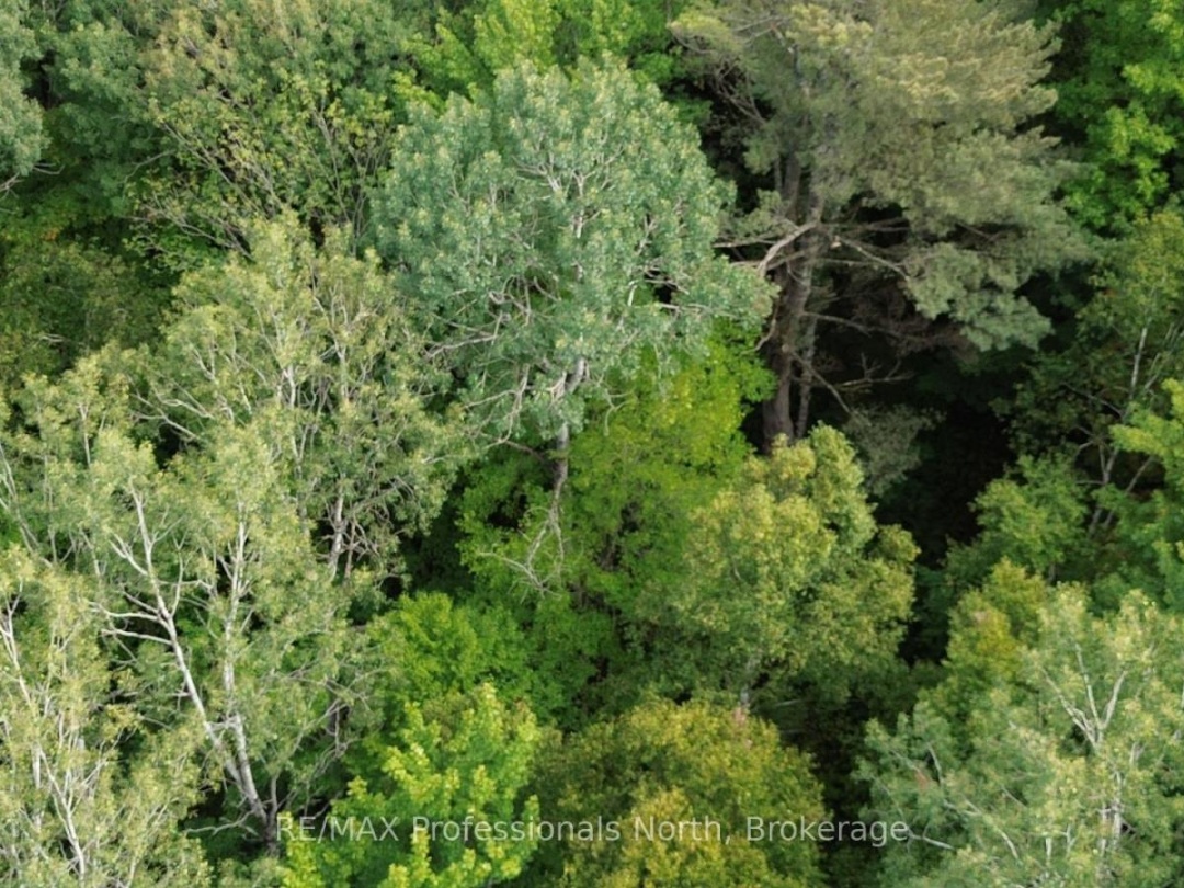 671 LYNX LAKE ROAD, 