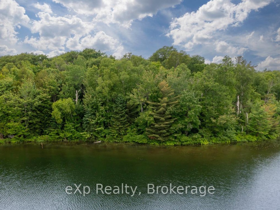 3 KINGFISHER ROAD, Trout Lake
