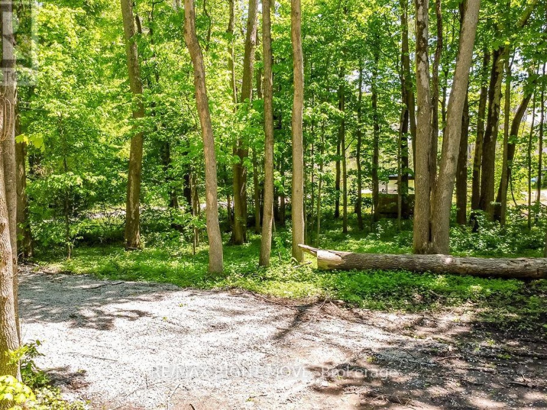 1656 TRADER COWAN ROAD, Severn