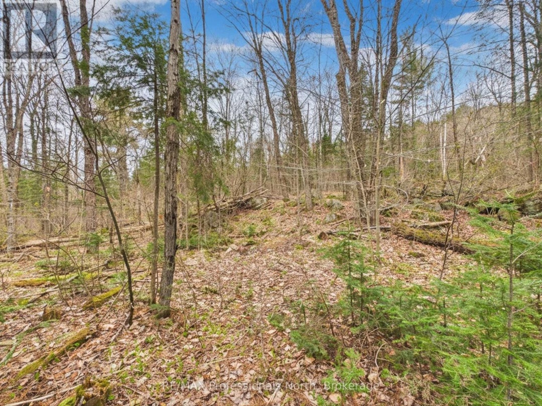 0 EAST WALKER LAKE DRIVE, Lake of Bays (Sinclair)