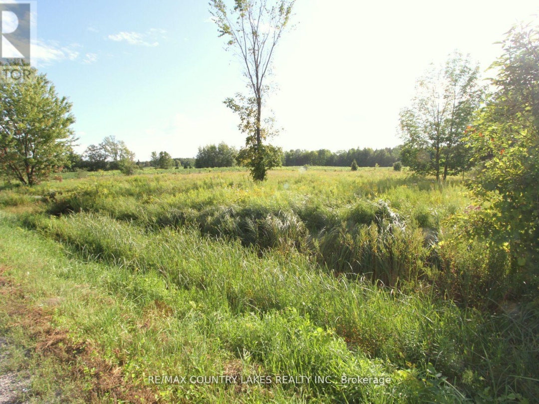 LT 22 KIRKFIELD ROAD, Kawartha Lakes (Eldon)