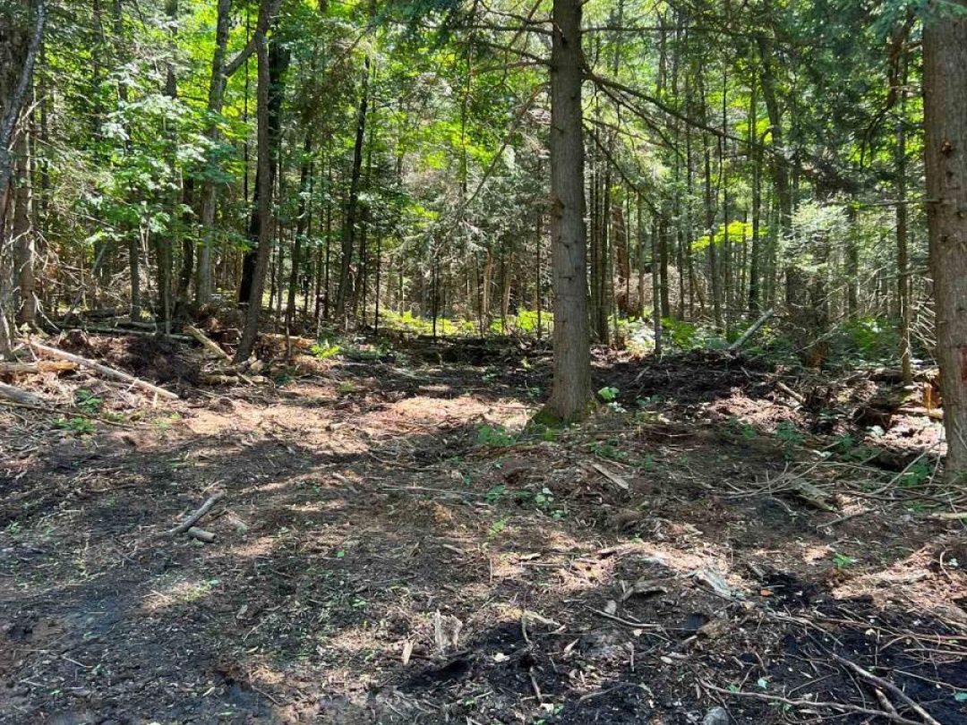 LOT 29 WEST COURT, 