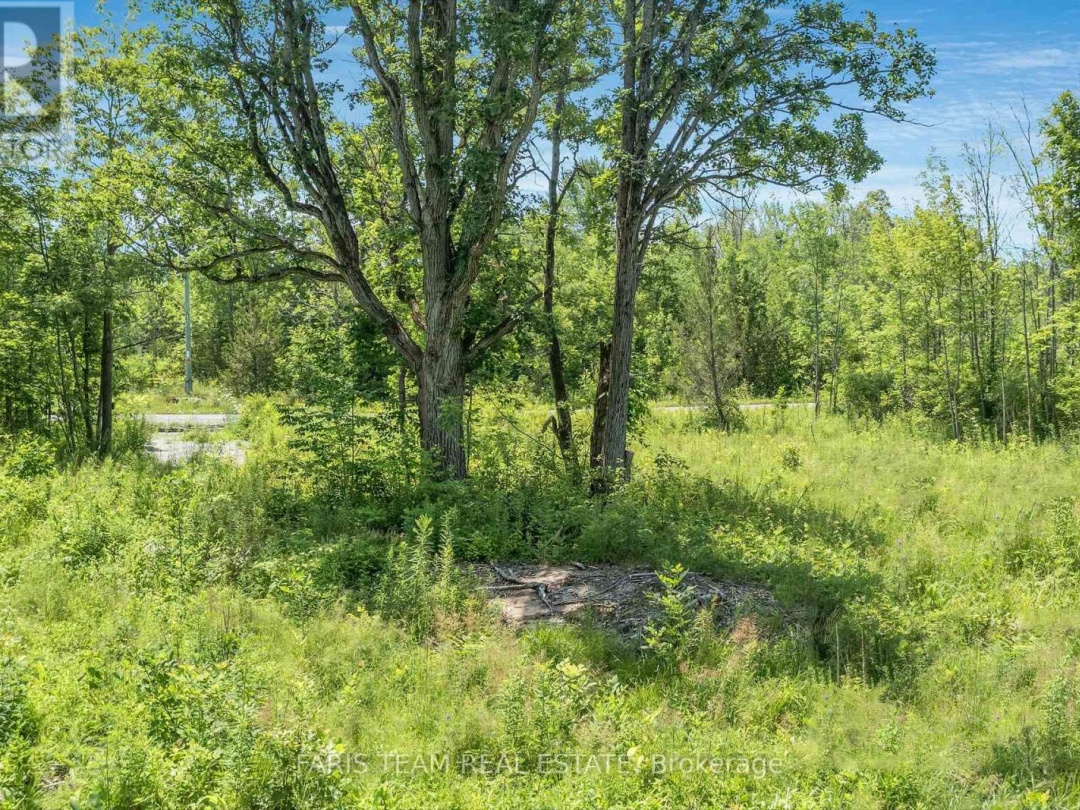 88 MUSKY BAY ROAD, Georgian Bay (Baxter)