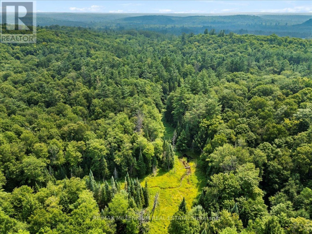 3529 HIGHWAY 118 E, Bracebridge (Oakley)