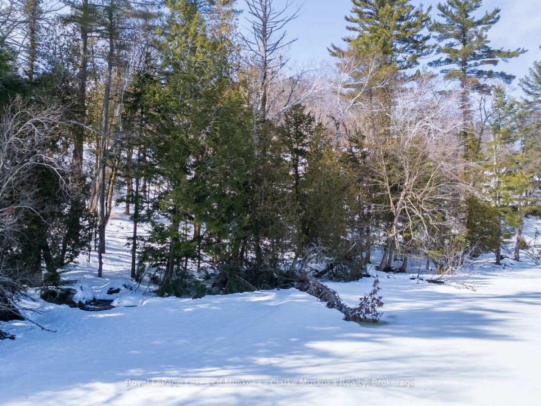 252 CLEAR LAKE ROAD, Lake Joseph