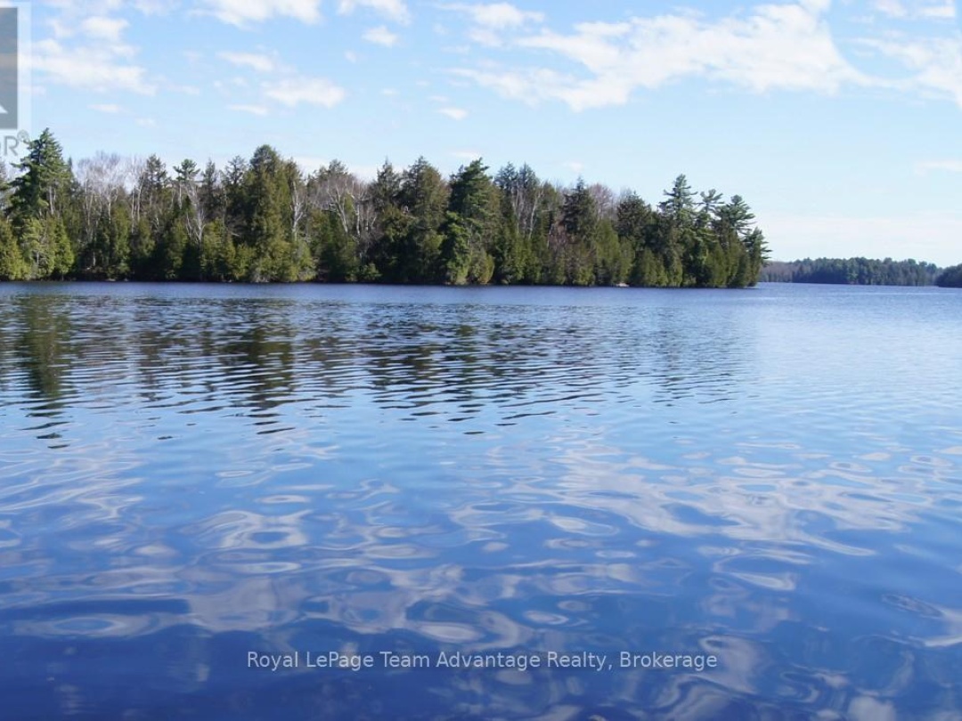 25 PENINSULA SHORE ROAD E, Harris Lake