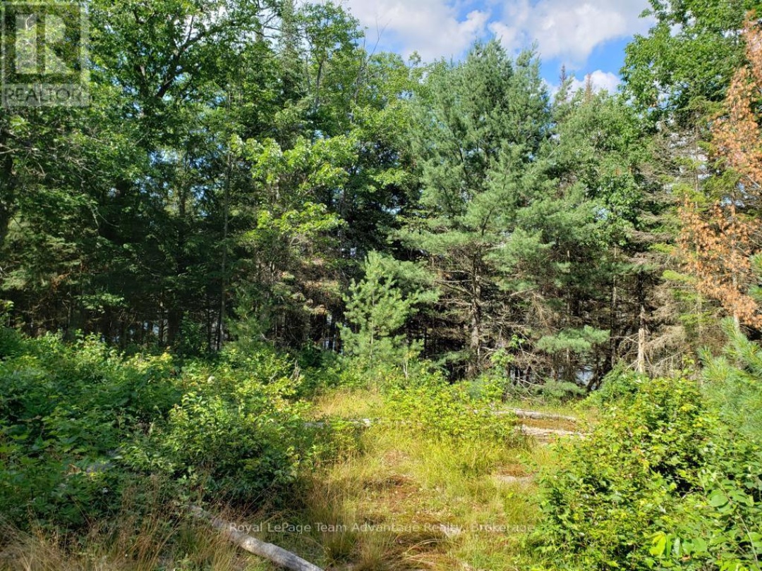 0 UNOPENED ROAD ALLOWANCE ROAD, McKellar