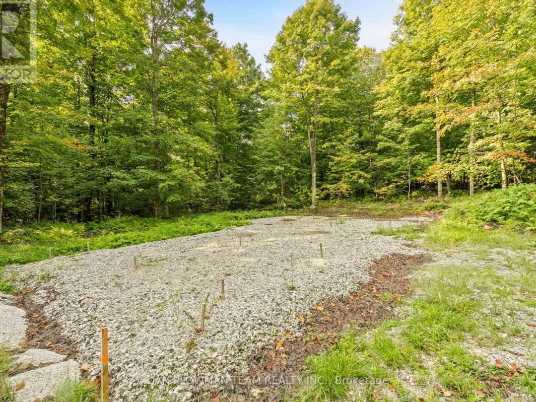 1409 BASSHAUNT LAKE ROAD, Dysart et al (Guilford)