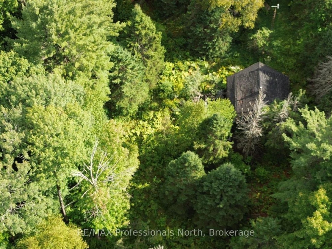 671 LYNX LAKE ROAD, 