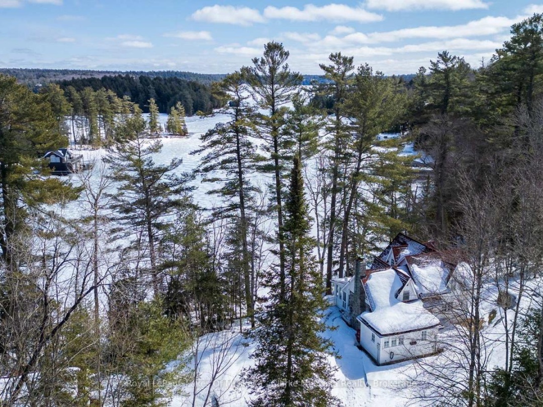 250 & 252 CLEAR LAKE ROAD, Lake Joseph