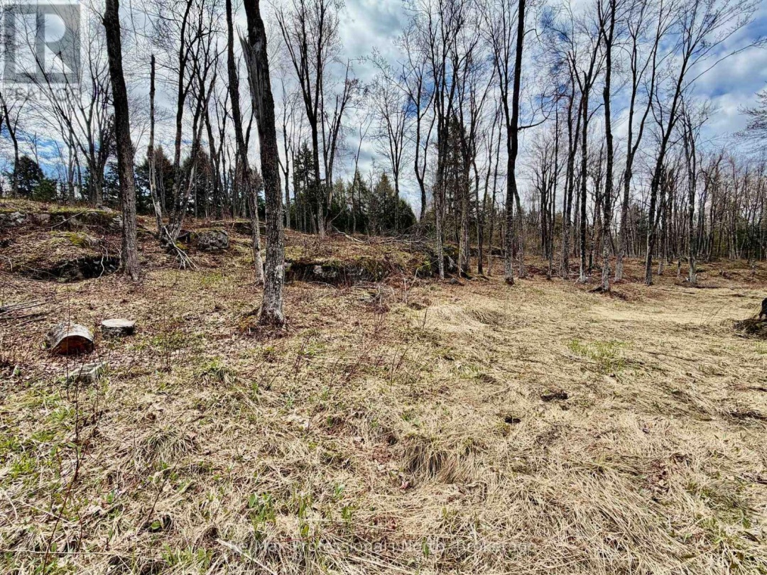 2388 DOE LAKE ROAD, Gravenhurst (Ryde)