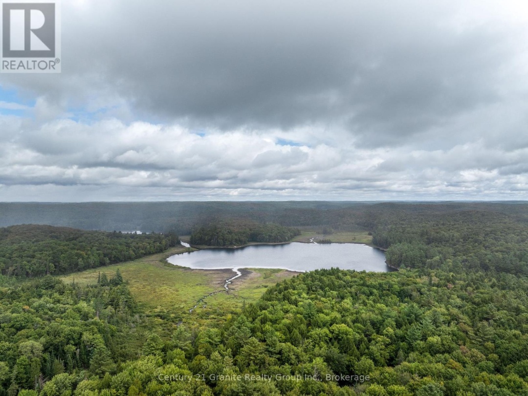 17812 HIGHWAY 35, Algonquin Highlands (Stanhope)