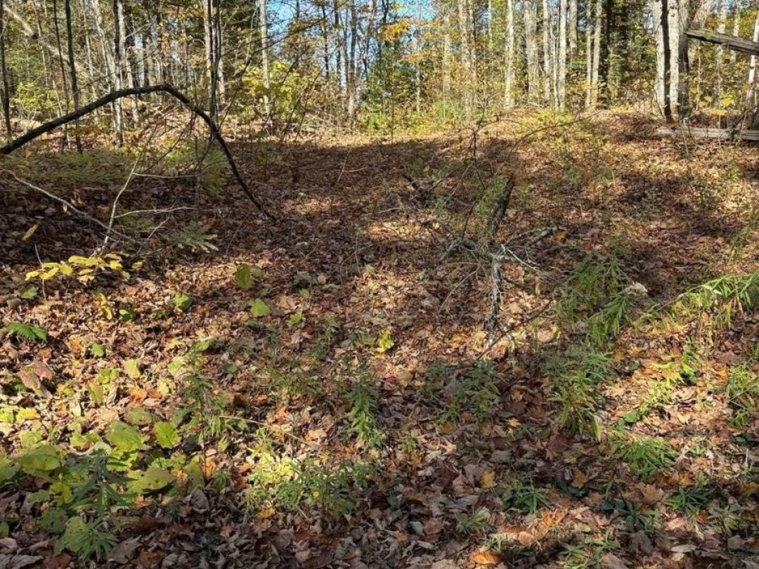 8 CANNONBALL LANE, Wiley Lake