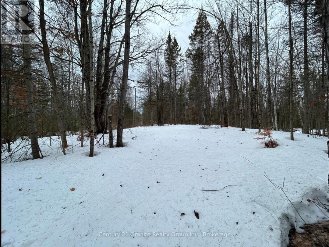1037 ROTUNDA DRIVE, Contau Lake