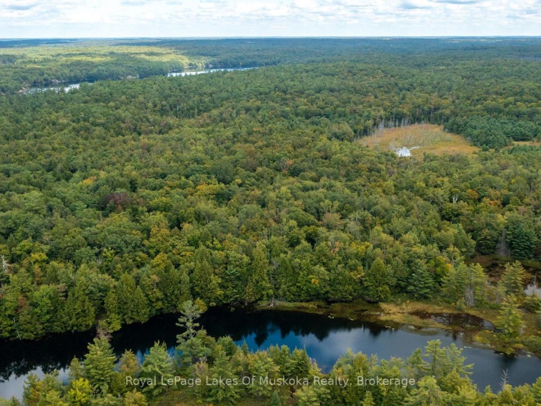 0 MUSKOKA RIVER, 