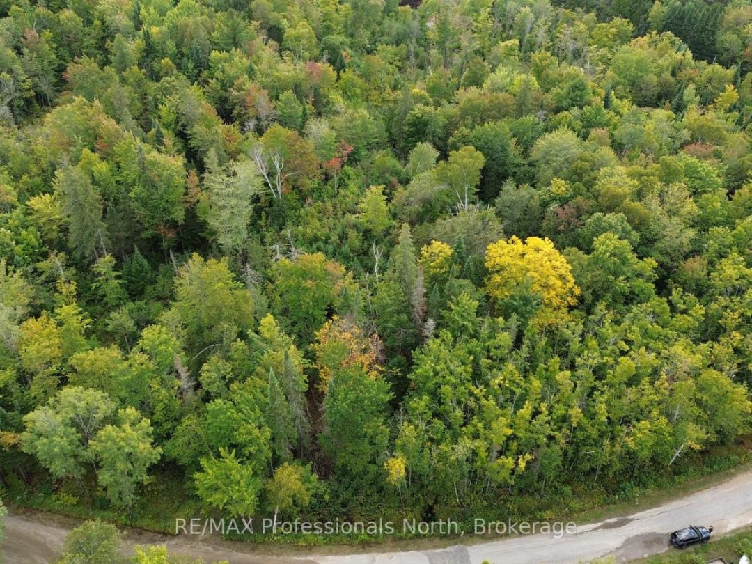 PCL 20438 & 29803 UPPER WALKER LAKE ROAD, Lake of Bays (Sinclair)